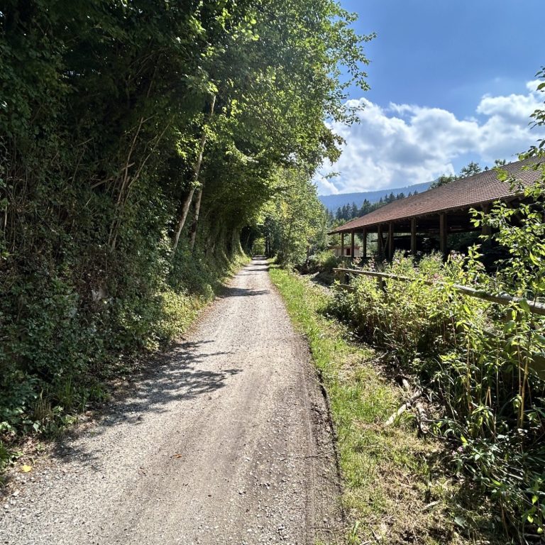 Radelweg von Inzell nach Traunstein