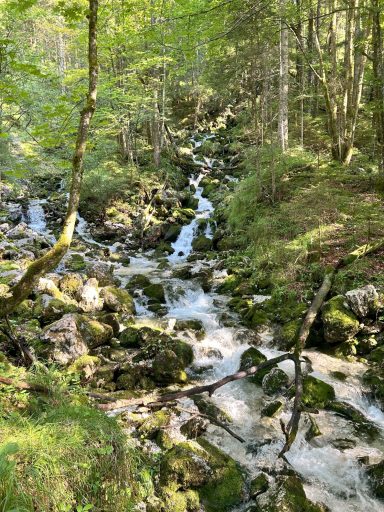 Weissbach an der Quelle