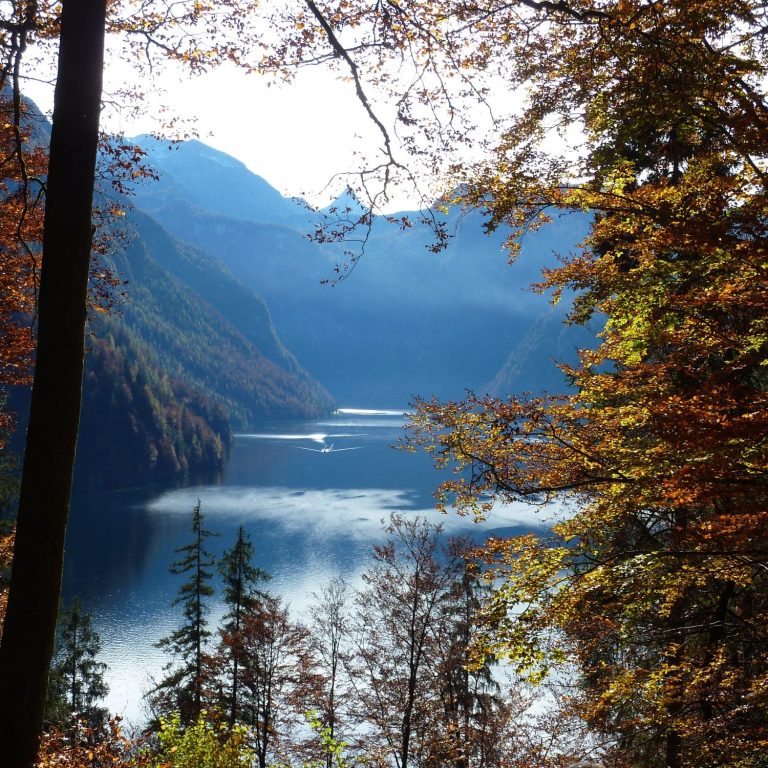 Ausblick von der Rabenwand auf den Königssee