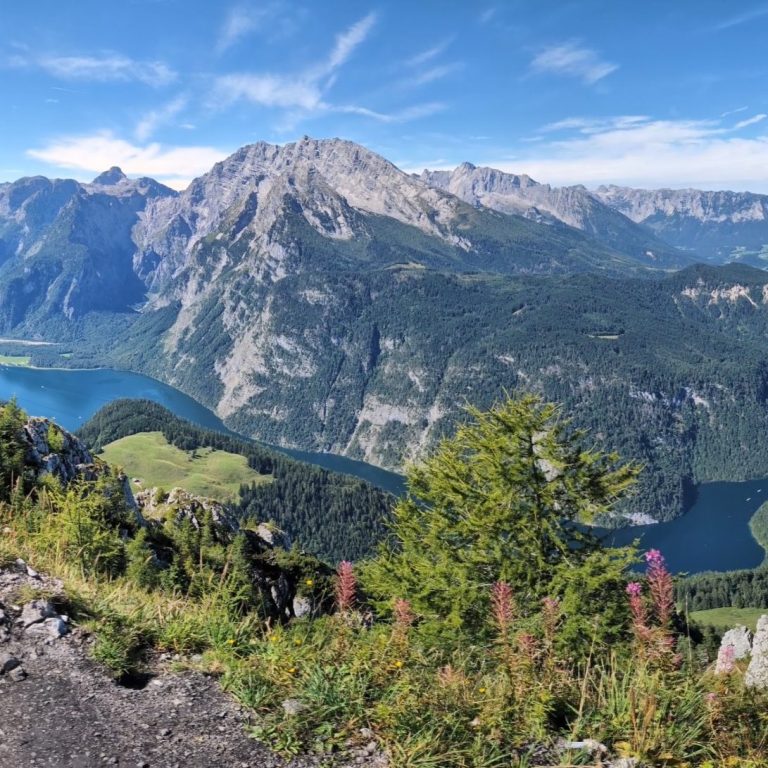 Ausblick vom Jenner auf den Königssee