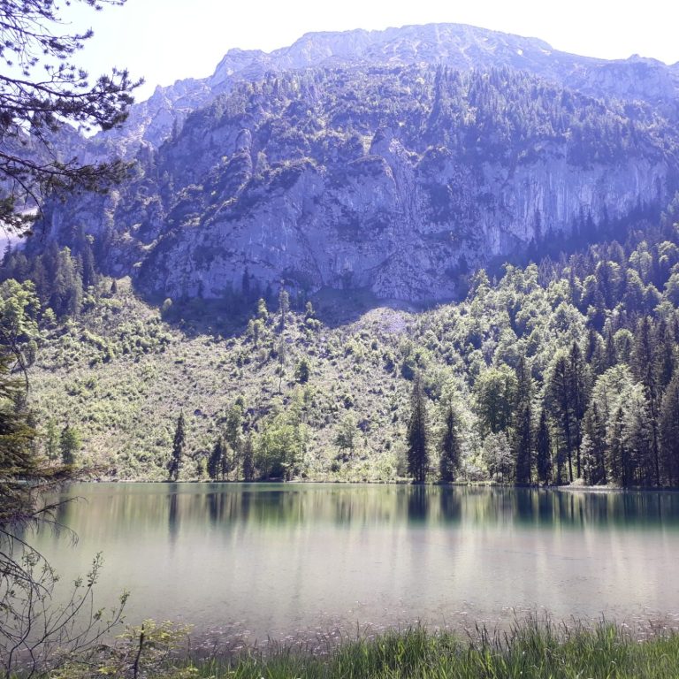 Frillensee mit Zwiesel