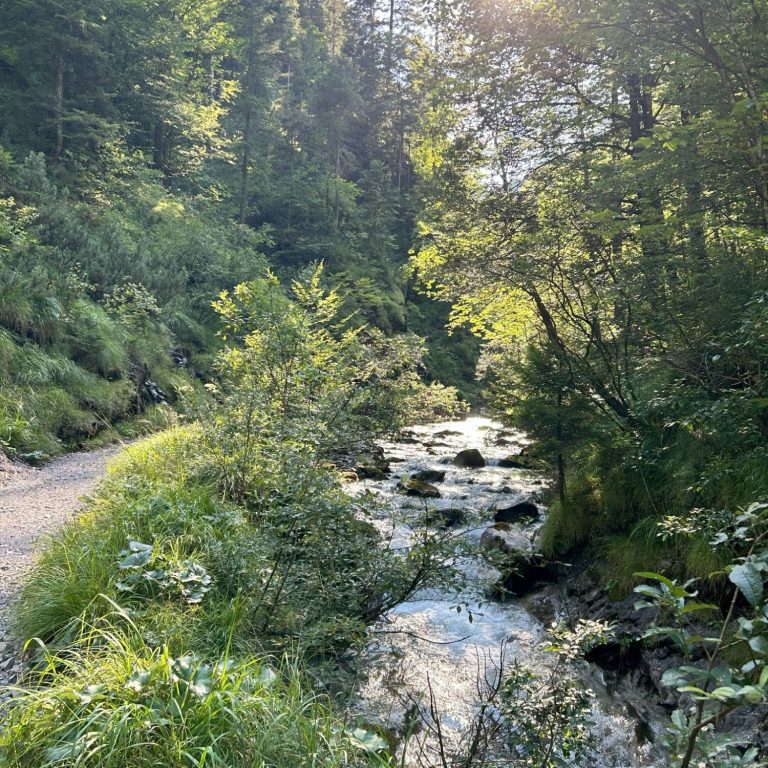 Schwarzachenschlucht